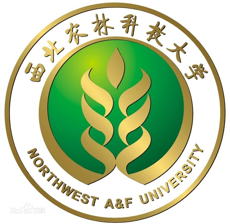 武漢大學(xué)